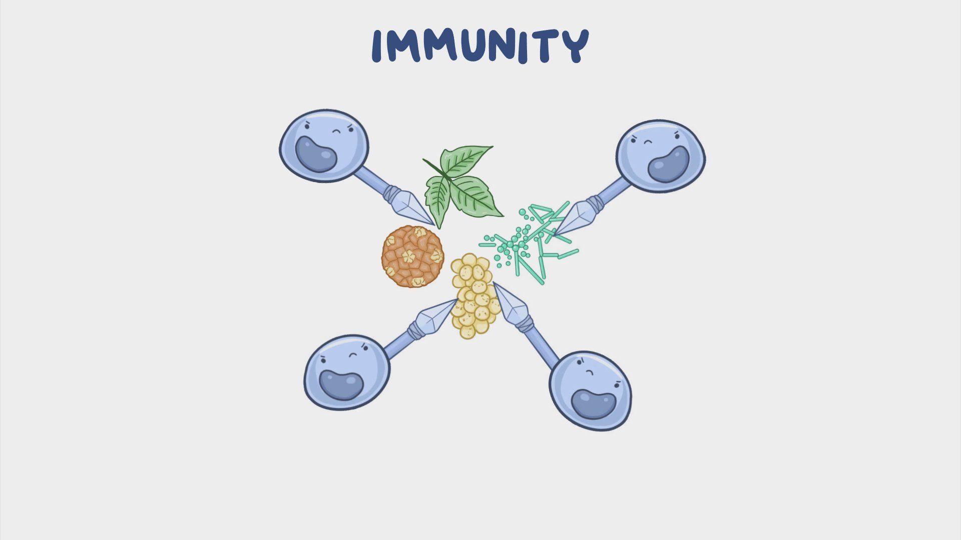 A ‌New Era of Immunity:​ Trumps Win and Its Impact​ on Future ​Investigations